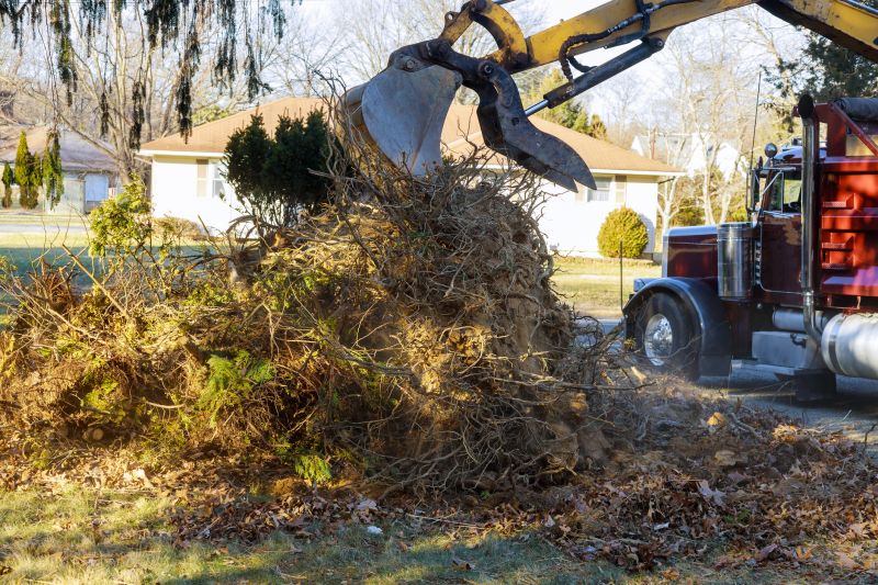 Debris Removal Process
