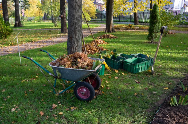 Vegetation Removal Tools in Use