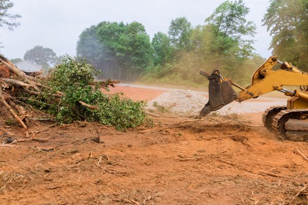 Ground Clearing in Eagle