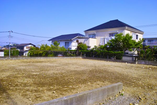 Cost of Lot Clearing Service in Eagle