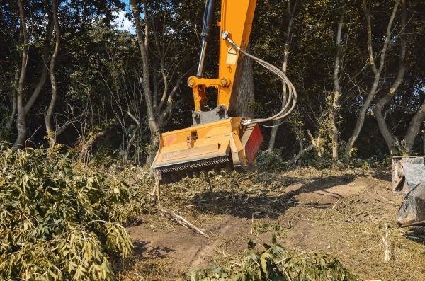 Brush Removal Service in Eagle