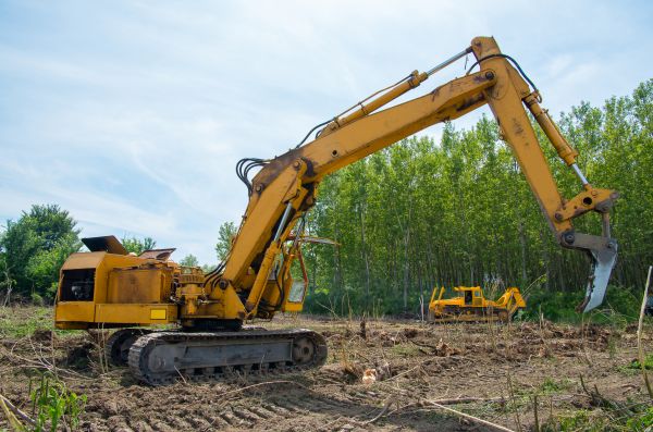 Cost of Farm Clearing in Eagle