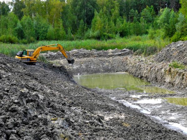 Cost of Lake Lot Clearing in Eagle