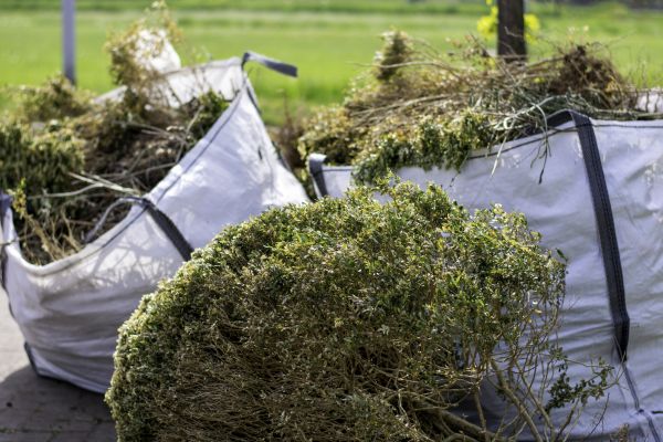 Cost of Bushes Clearing in Eagle