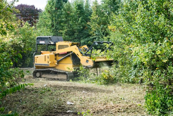 Cost of Pathway Clearing in Eagle