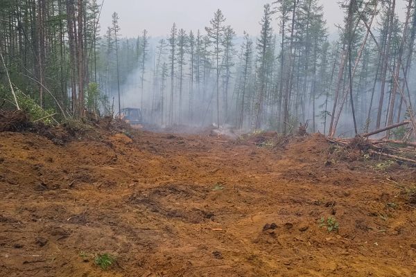 Cost of Hill Clearing in Eagle