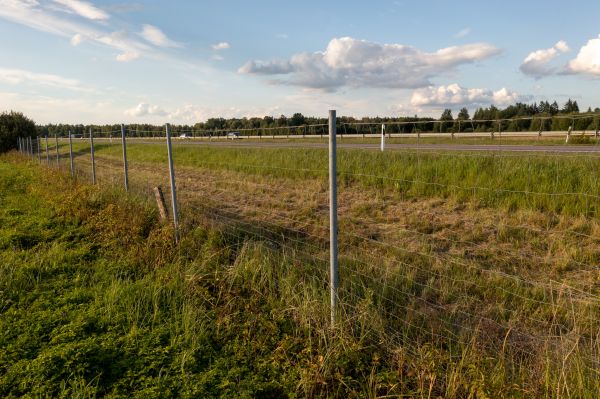 Cost of Property Line Clearing in Eagle