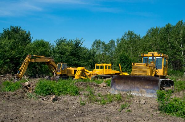 Cost of Bulldozer Clearing in Eagle
