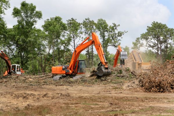 Cost of Commercial Lot Clearing in Eagle