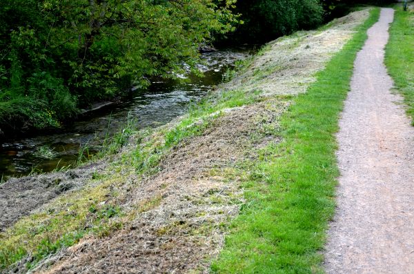 Cost of Trail Cutting in Eagle